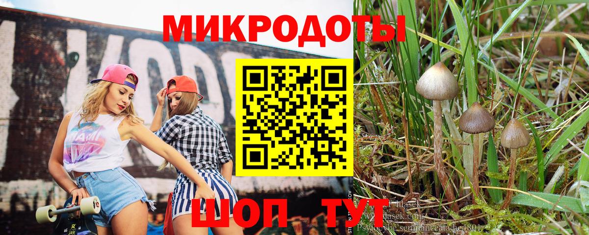 Галлюциногенные грибы MAGIC MUSHROOMS  цены   Северобайкальск  Вход с VPN 