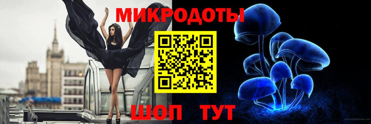 Галлюциногенные грибы Cubensis Северобайкальск